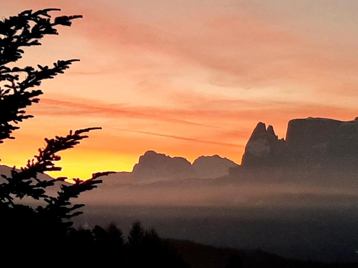 Wiesenhof كولابو المظهر الخارجي الصورة
